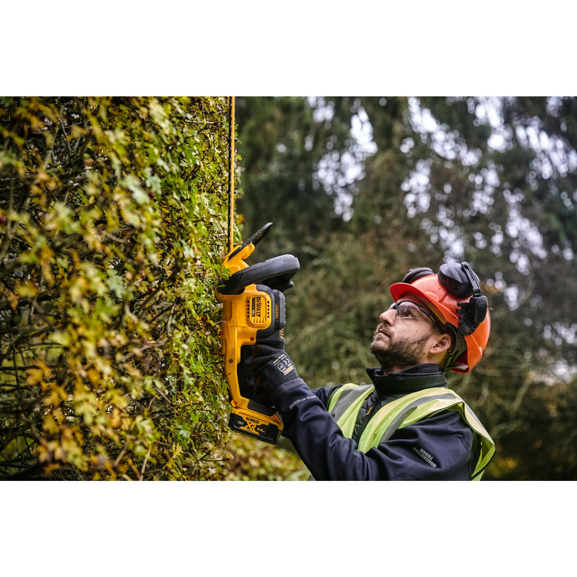 Dewalt xr store hedge trimmer