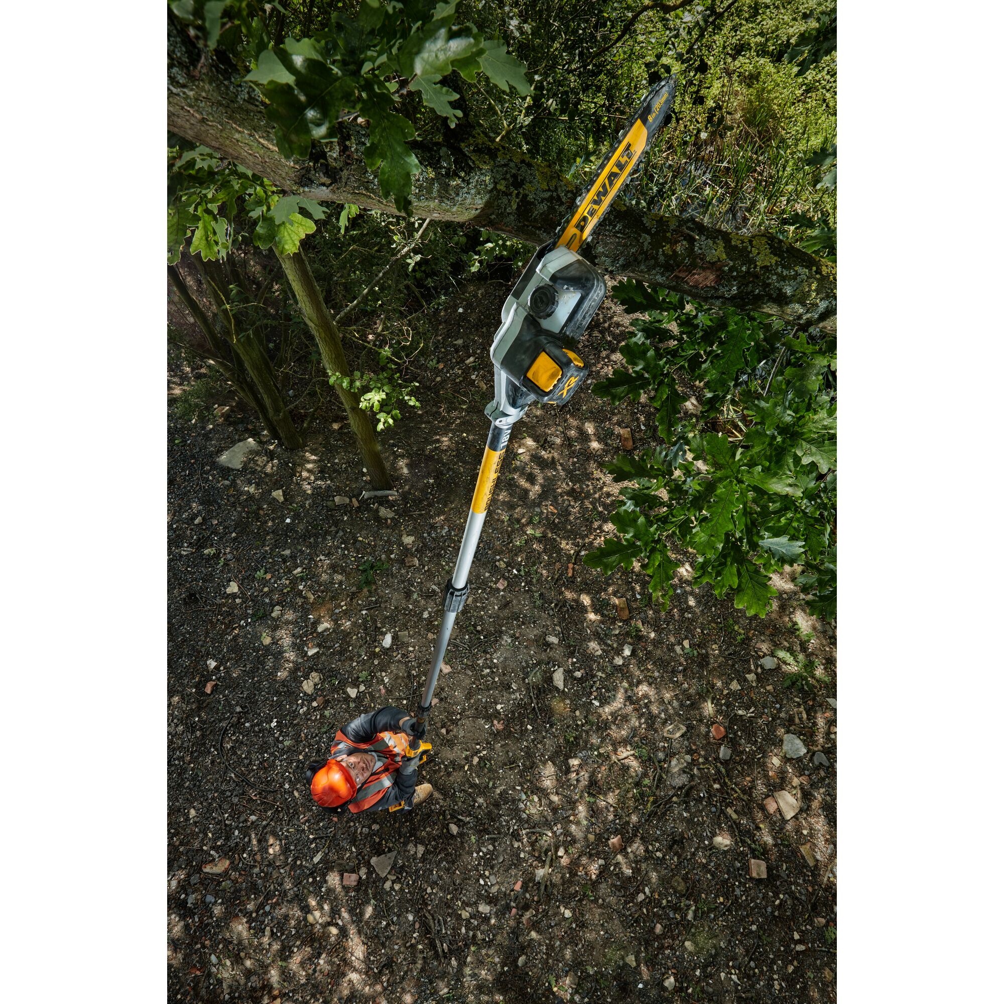 Dewalt pole saw on sale bare tool