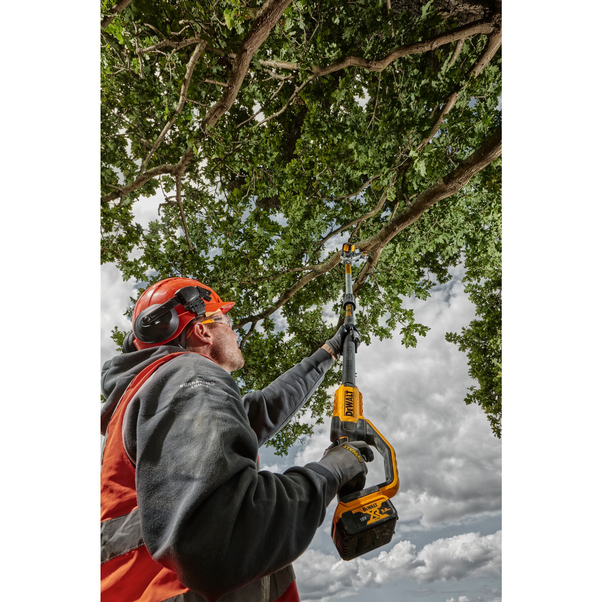 Dewalt 2025 tree trimmers