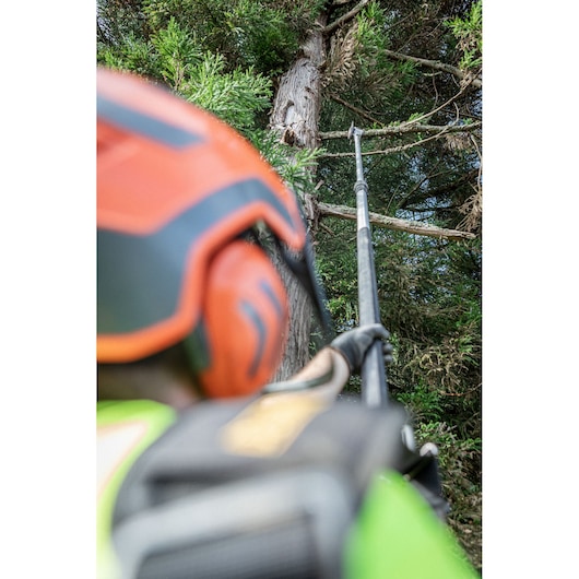 A person wearing safety gear uses a DEWALT pole saw to trim branches high up in a tree.
